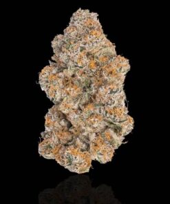 Durban Poison