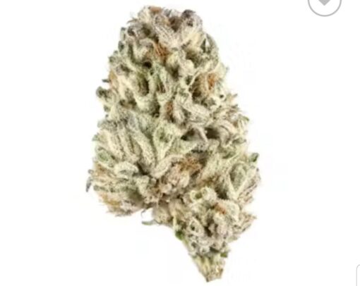 Buy Biscotti Indica Strain