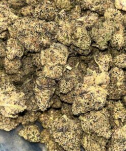 White cherry candy 🍭