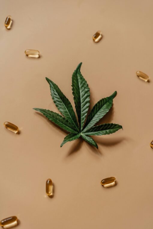 Order Full-Spectrum Cbd Oil - Your Path To Natural Wellness